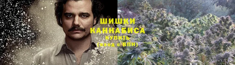 Бошки марихуана THC 21%  Новоузенск 